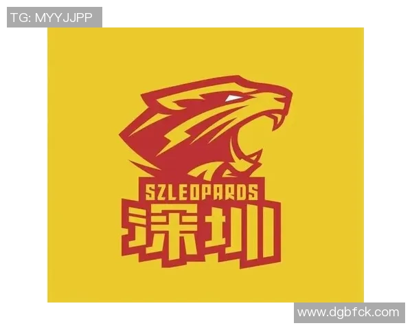 甘肃是否拥有CBA球队?区域体育资源盘点